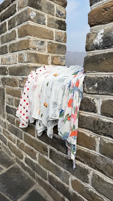 Bamboo muslins hung out to dry over a brick wall