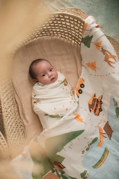 A newborn swaddled in a train-print bamboo muslin, asleep in a moses basket