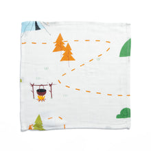Load image into Gallery viewer, Little Rei Bamboo Wash Cloth 4pc
